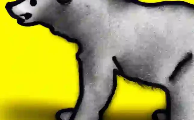 20 Programlama Terimi