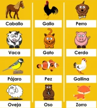 İspanyolca DELE A1 Hayvanlar 